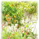 그림속풍경 이미지