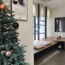 행복한 한약국 이미지