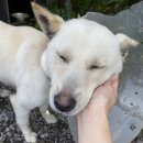 한길펜션 이미지