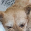 보통골로 이미지