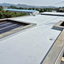 신창농장 이미지