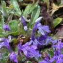 금창초교 이미지