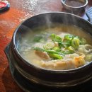 [서현] 진한 육수가 일품인 분당 삼계탕 맛집 '경희보궁'