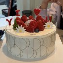 서면펫살롱 | 인생이 레이스라면 저는 잠깐 산책중이랍니다 - 근황