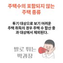 주택수 미포함 주택 이미지