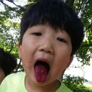 수곡초교 병설유치원 이미지