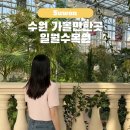 [도로]일월공원 주차장1 | 경기도 수원 가볼만한곳 추천 아이랑 갈만한곳 실내 일월수목원 주차장