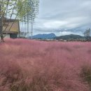 더하루 | [담양] 물고기 구경하는 &#34;카페 더하루&#34; 내돈내산 후기 서이추 환영