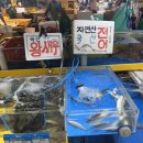 복자상회 네이버블로그