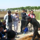 죽산마을 이미지