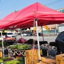 해보농장 이미지