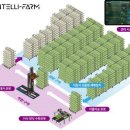개성농장 이미지
