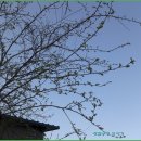 삼천리농장 이미지