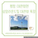 풀내음목장 | 평창 삼양라운드힐 대관령목장, 힐링여행, 양몰이공연, 밀크소프트아이스크림