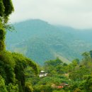 하르딘(Jardin) 이미지