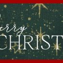 ㅁㅊ 갑자기 햄이나 베이컨 두둑하게 썰어넣은 크림 파스타 땡겨 이미지