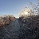 매음2저수지 이미지