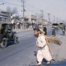 1950년 풍경들 이미지