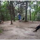 노루목길1 이미지