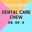 초이스덴탈 이미지