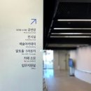 동경(180) | 대구 4월 전시회 추천 수성아트피아 이기철 토끼시대 전시 후기