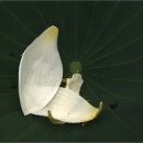 수원-0709 이미지