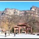 도화갈매기 이미지