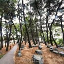 방아머리 이미지