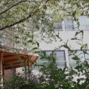 신흥전문요양원 이미지