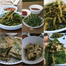 마루목장 이미지