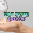 알티에스 | 비쏠르 동안크림 주름지우개? 성분 효과 내돈내산 후기