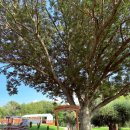 도나우 | 물길 위의 짜릿한 여정, 다뉴브강(도나우강) 래프팅 체험 후기