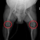 괴산동물병원 이미지