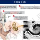 잘 듣게 만들어주고 잘 자게 만들어주는, 완전 색다른 소리의 기능 이미지