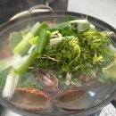 남산시장 | 서천특화시장 41호 남산수산 쭈꾸미 태양이네 샤브샤브 내돈내산 후기