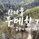 두메(DUME) 이미지