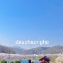 윤황선생 묘소일원 | 대청호 벚꽃길 대전 산책 코스 김정선생 묘소일원