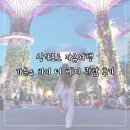 주식회사 글로워크 | 싱가포르 자유여행 가든스바이더베이 입장권 구매 방법, 슈퍼 트리쇼 관람 후기