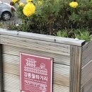 강릉 오란다 이미지