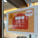 [서울/잠실 데이트] 길고양이마을 잠실점 후기 유기묘 구조묘 입양 가능 카페 기니피그 토끼