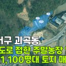 나들목 농장2 네이버블로그