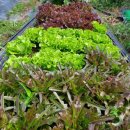 한벌농장 이미지