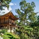 라드라비 이미지