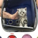 태민동물병원 이미지