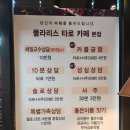 하얀아카데미 | [김해] 폴라리스 타로 카페 아카데미 신년운세 후기, 김해 타로카페