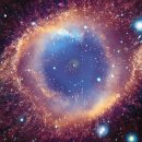 THE NEW CENTER 이미지