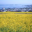 세븐일레븐 밀양미리벌중앙점 | 밀양 가볼만한곳, 여행, 관광코스, 경비, 맛집 10곳 추천, 카페 추천