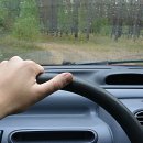 수입자동차세일즈협회