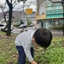 (10/14~16) 가을 낙엽으로 놀이해요 🍂 이미지