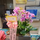 연세나은요양병원 이미지